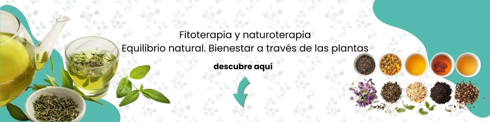 Fitoterapia y naturoterapia Equilibrio natural. Bienestar a través de las plantas. En Kiwinnashop
